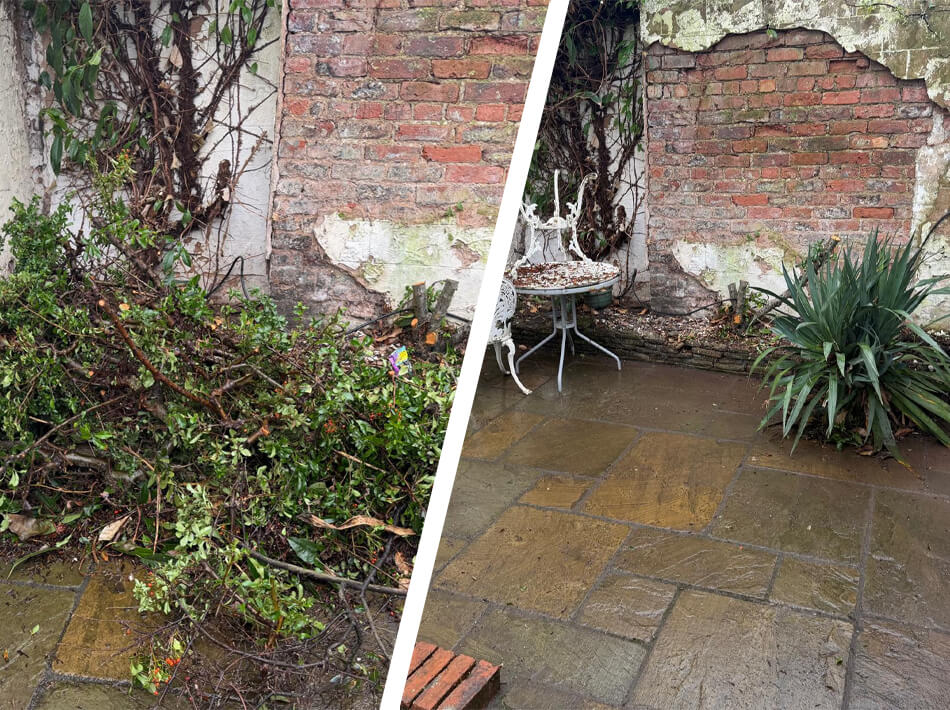 Waste wizard before and after