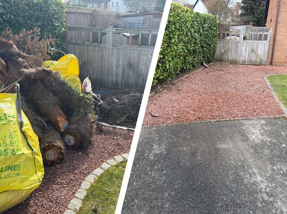 Waste wizard before and after